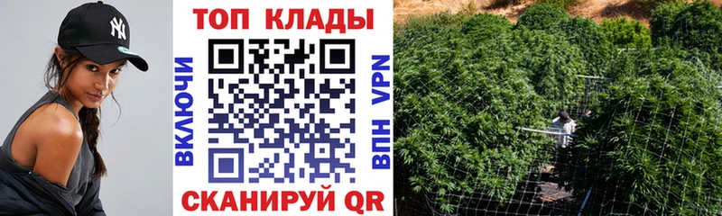 Какие есть наркотики Иланский Кокаин  Канабис  Альфа ПВП  ГАШ  Меф 