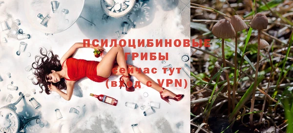 дурь Абинск