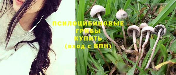 герыч Абаза
