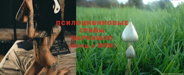 прущая мука Алзамай