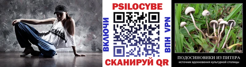Псилоцибиновые грибы мухоморы купить наркотик Иланский